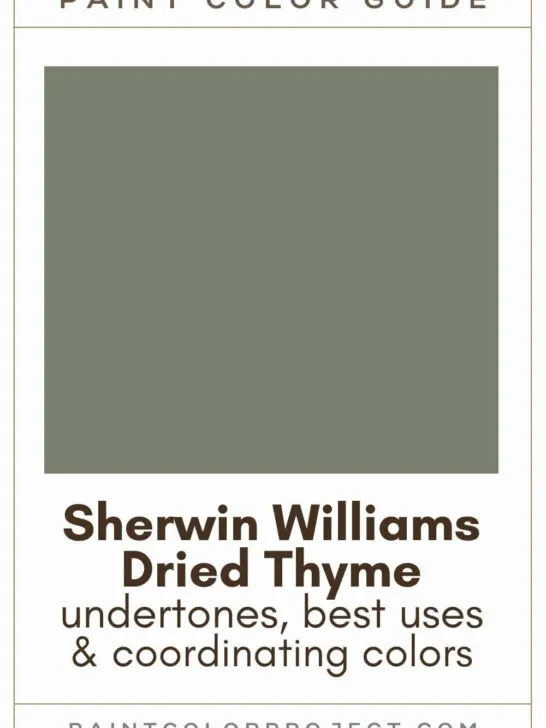 Sherwin Williams Dried Thyme Paint Color Guide