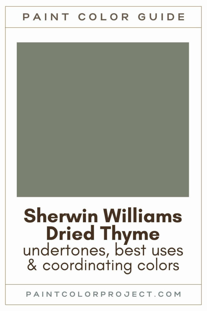 Sherwin Williams Dried Thyme Paint Color Guide