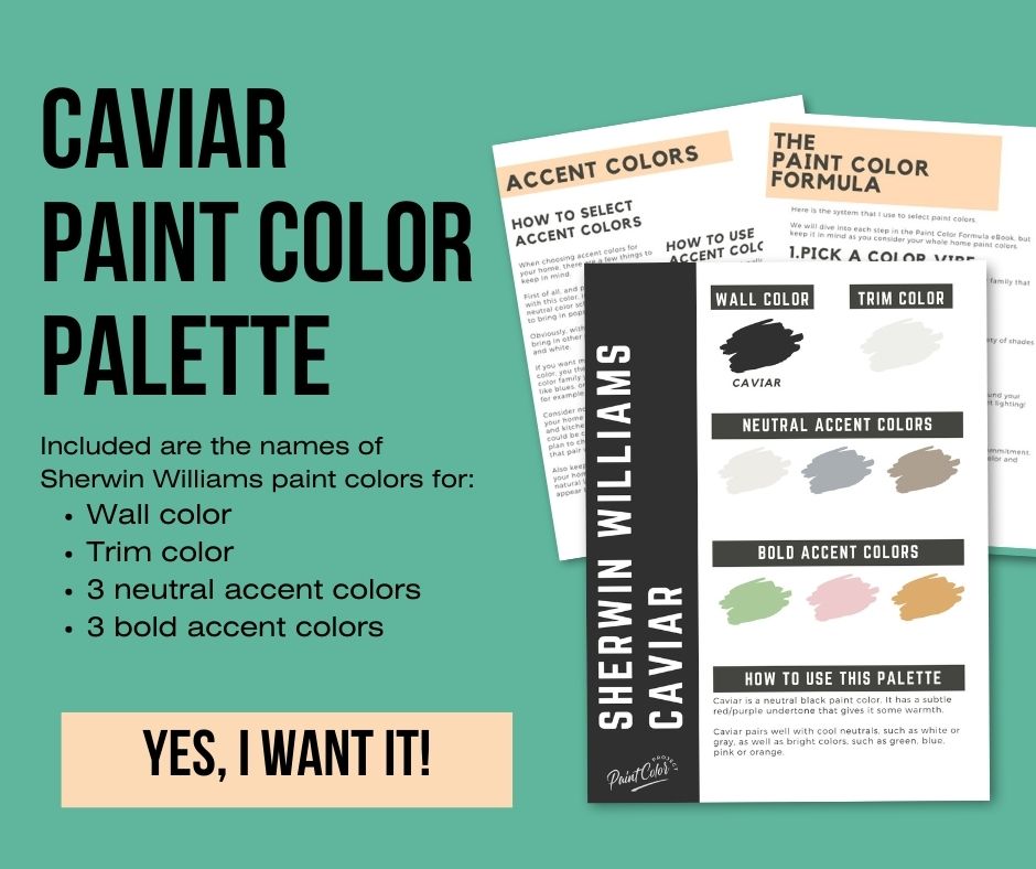 Sherwin Williams Caviar Color Palette