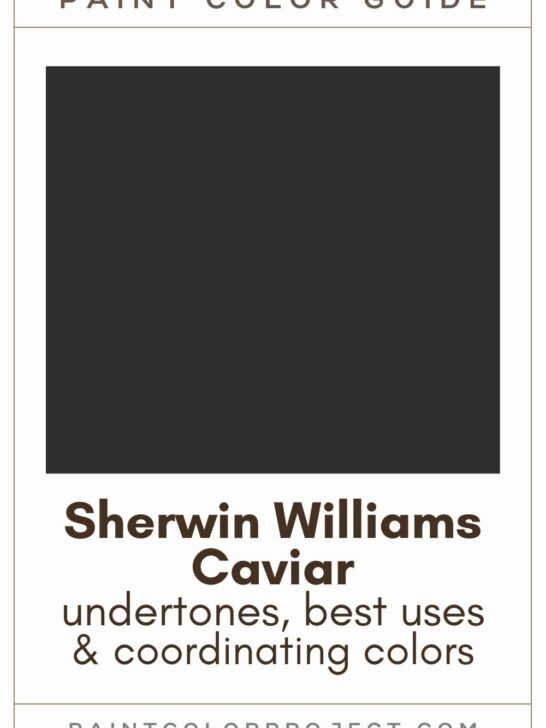 Sherwin Williams Caviar Paint Color Guide