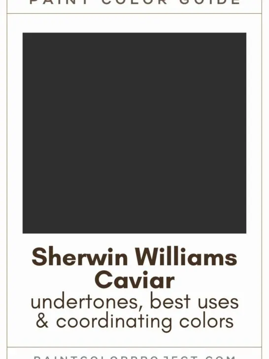 Sherwin Williams Caviar Paint Color Guide