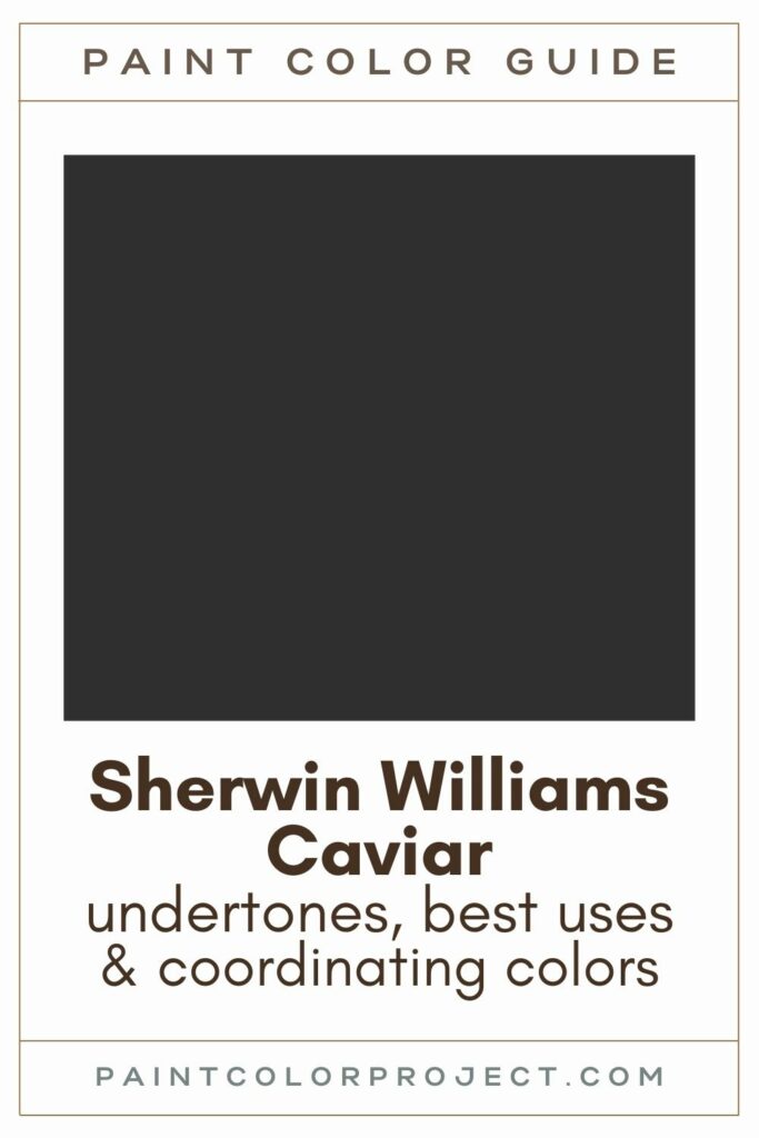 Sherwin Williams Caviar Paint Color Guide