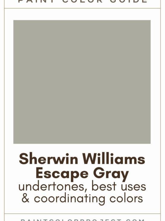 Sherwin Williams Escape Gray Paint Color Guide