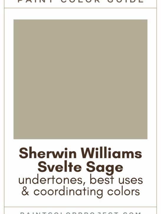 Sherwin Williams Svelte Sage Paint Color Guide