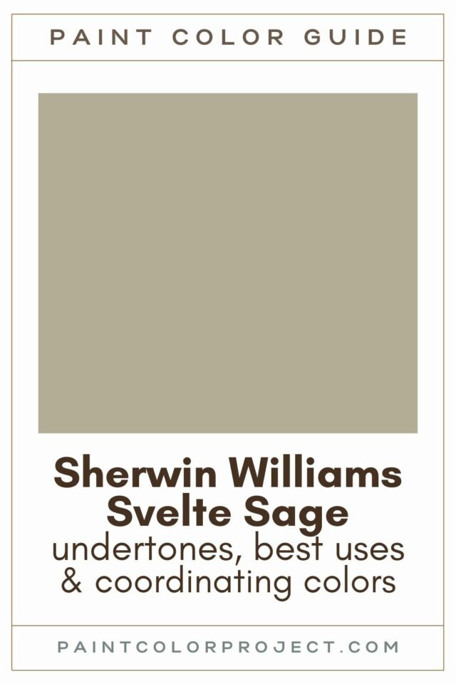 Sherwin Williams Svelte Sage: Complete Color Review - The Paint Color ...