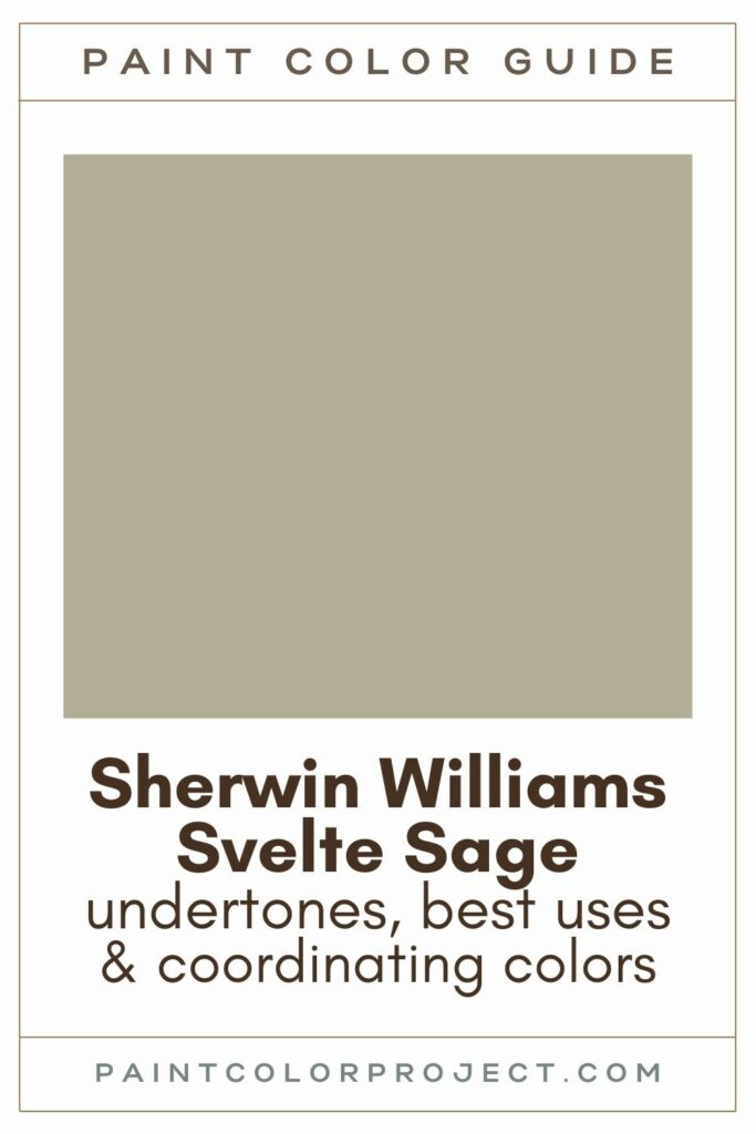 Sherwin Williams Svelte Sage Paint Color Guide