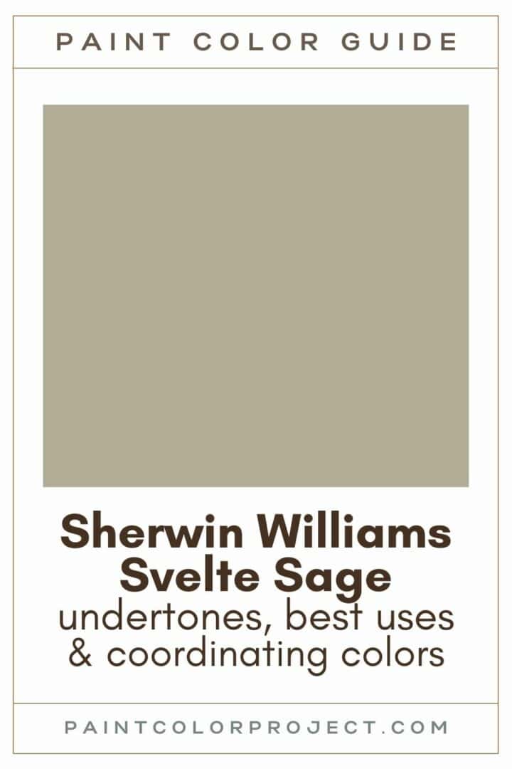 Sherwin Williams Svelte Sage