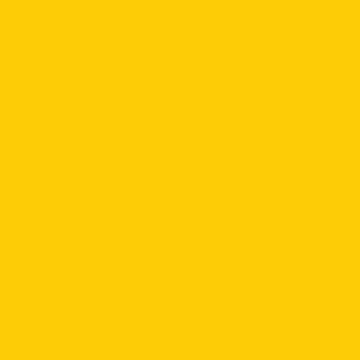 SW Confident Yellow