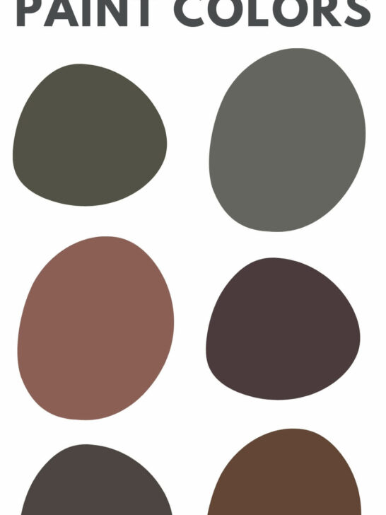 best dark brown paint colors