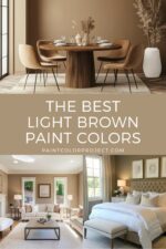 light brown color combination paint