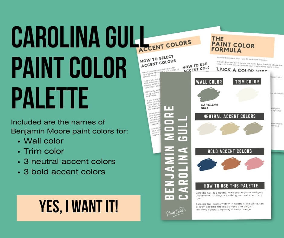 Benjamin Moore Carolina Gull Color Palette