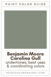 Benjamin Moore Carolina Gull Paint Color Guide