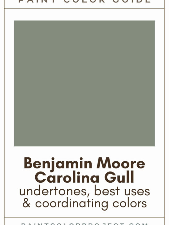 Benjamin Moore Carolina Gull Paint Color Guide