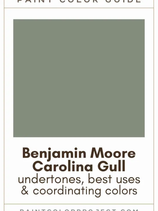 Benjamin Moore Carolina Gull Paint Color Guide