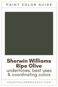 Sherwin Williams Ripe Olive Paint Color Guide