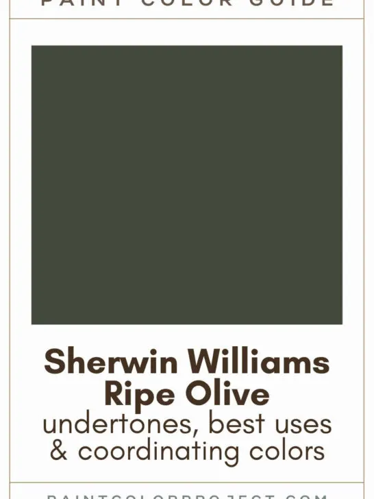 Sherwin Williams Ripe Olive Paint Color Guide