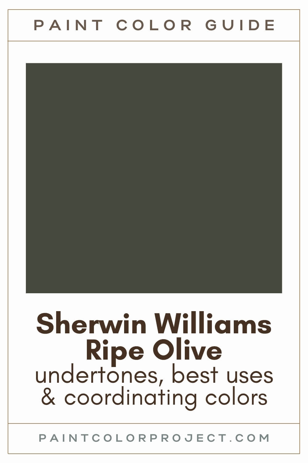 Sherwin Williams Ripe Olive Paint Color Guide