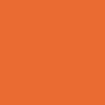 Behr Electric Orange