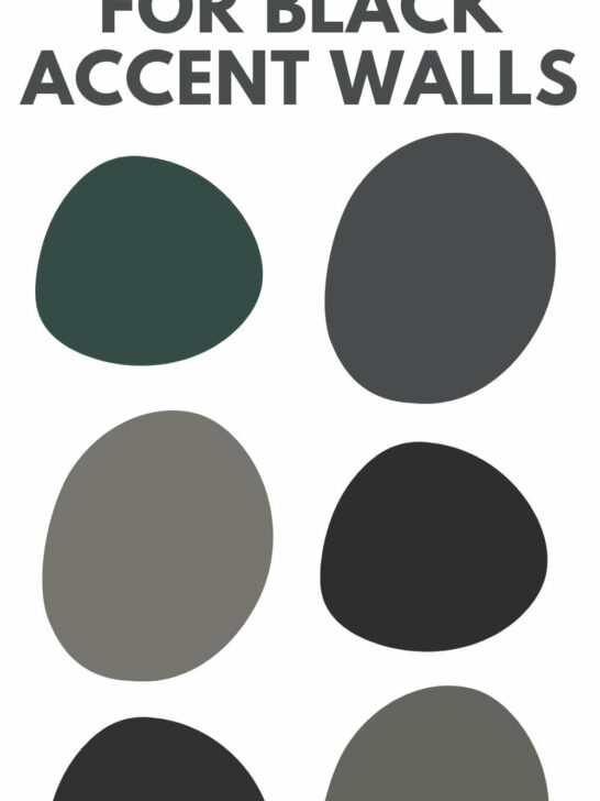 best paint colors for black accent walls