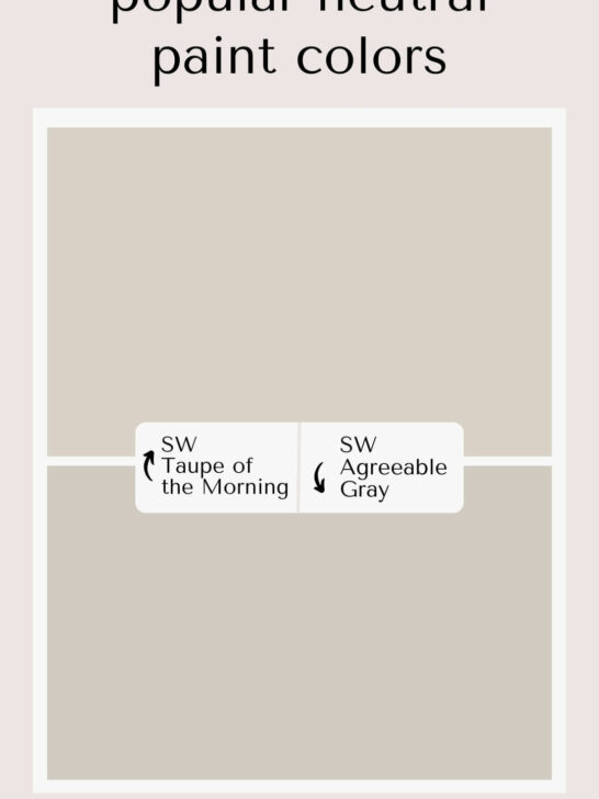 Sherwin Williams Taupe of the Morning vs Agreeable Gray