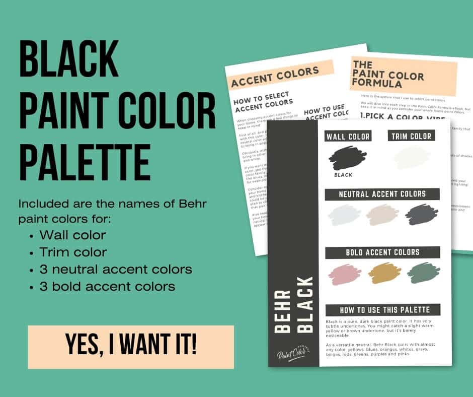 Behr Black Color Palette