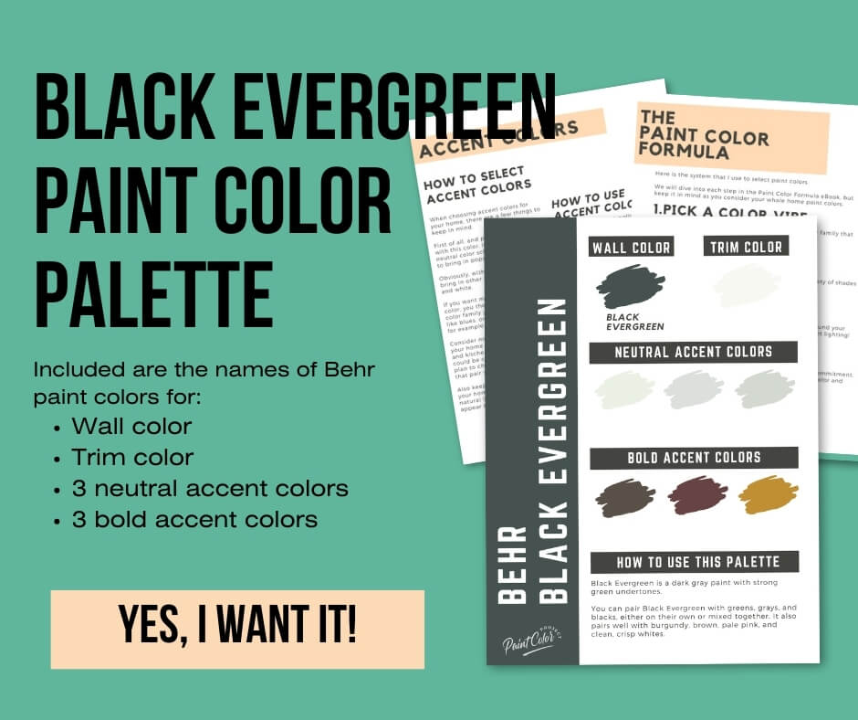 Behr Black Evergreen Color Palette