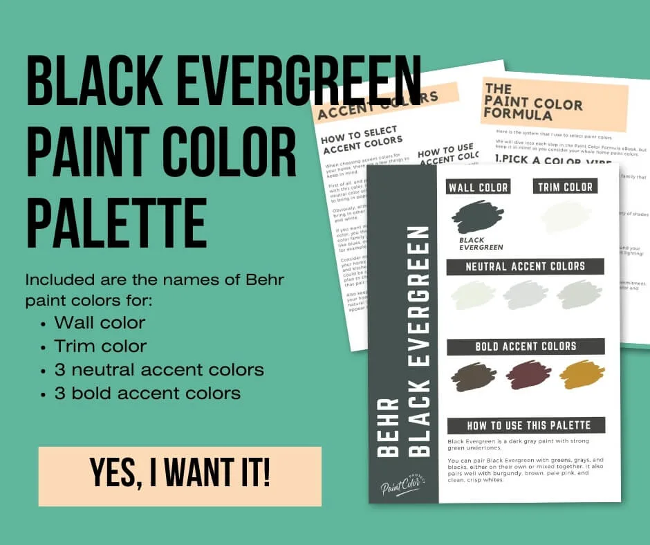 Behr Black Evergreen Color Palette