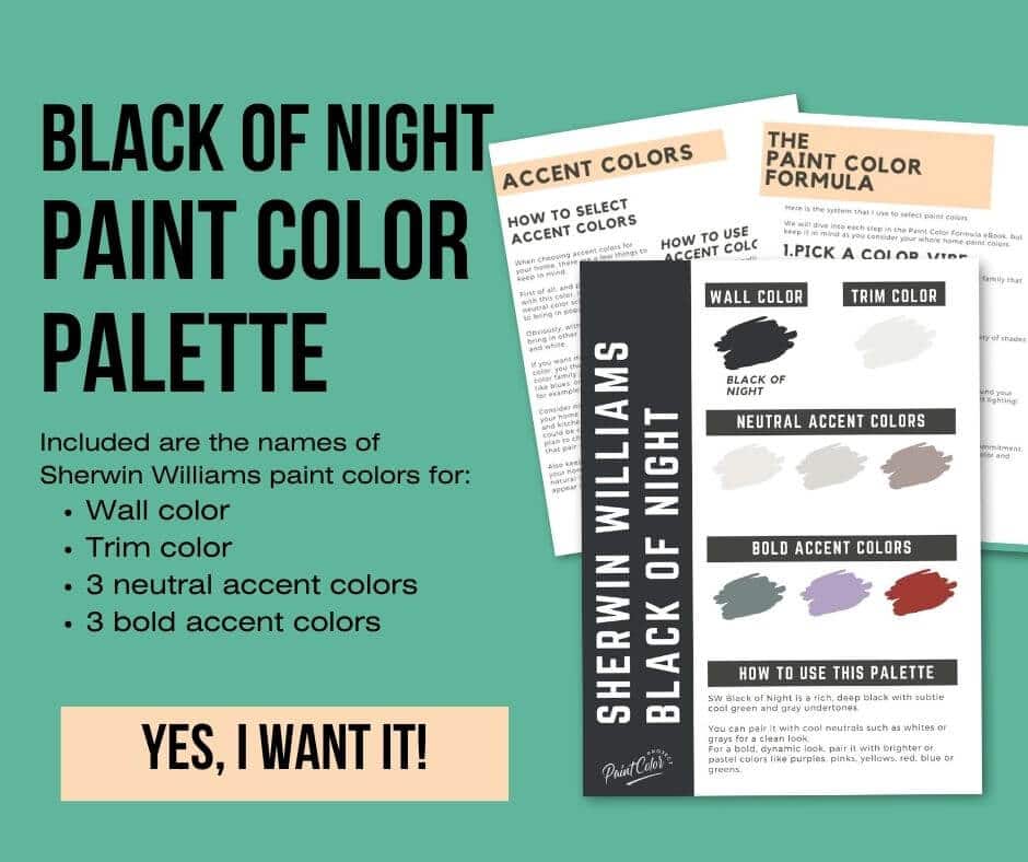 Sherwin Williams Black of Night Paint Palette