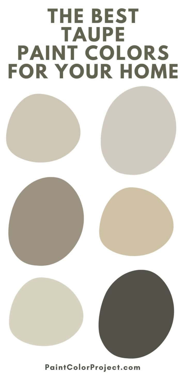 The Best Taupe Paint Colors For Your Home The Paint Color Project Best Taupe Paint Colors 720x1440