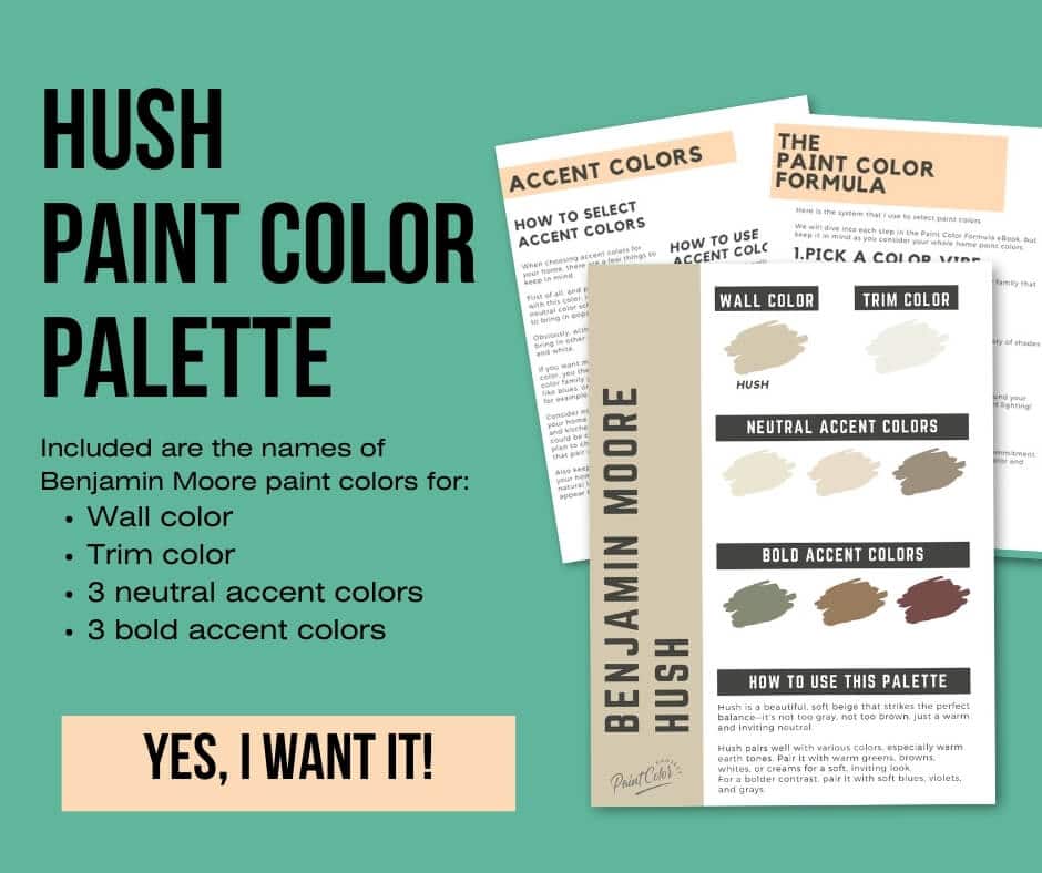 Benjamin Moore Hush Paint Palette