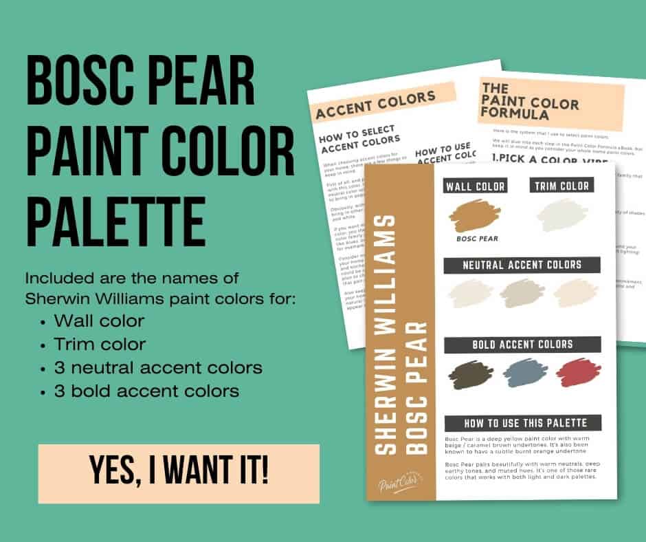 Sherwin Williams Bosc Pear Paint Palette