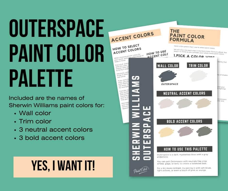 Sherwin Williams Outerspace Paint Palette