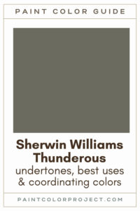 Sherwin Williams Thunderous Paint Color Guide
