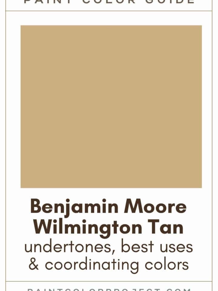 Benjamin Moore Oil Cloth: A Complete Color Review - The Paint Color Project