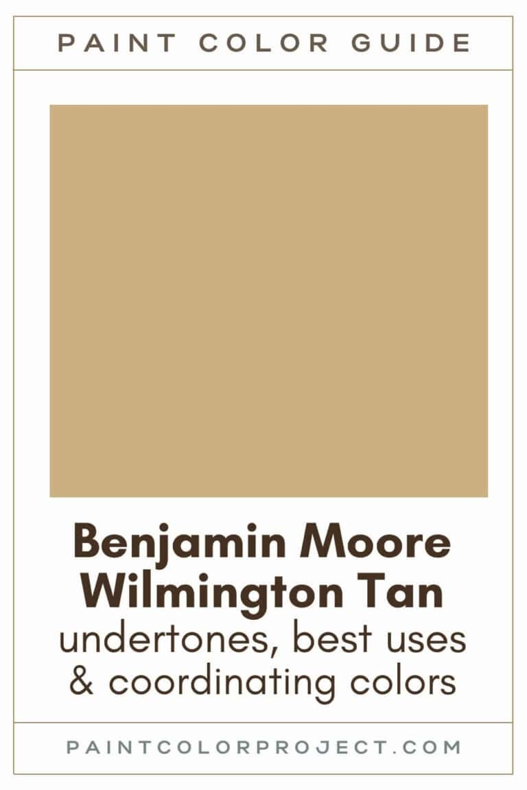 Benjamin Moore Wilmington Tan: A Complete Color Review - The Paint ...