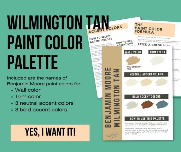 Benjamin Moore Wilmington Tan: A Complete Color Review - The Paint ...