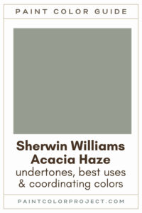 Sherwin Williams Acacia Haze Paint Color Guide