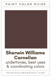 Sherwin Williams Carnelian Paint Color Guide