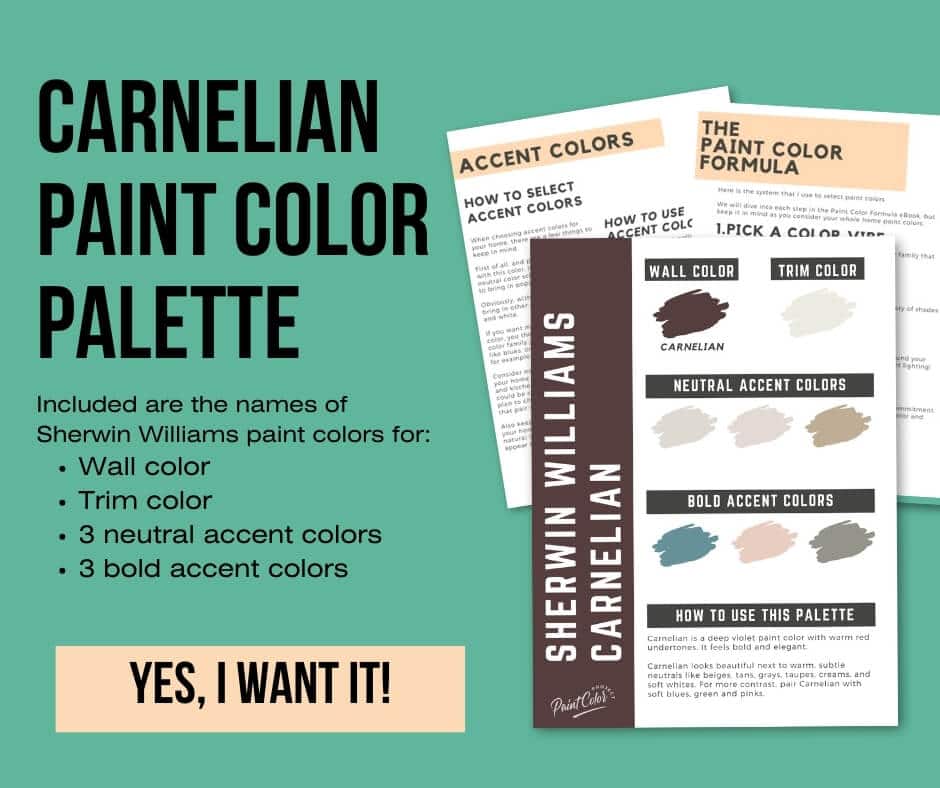 Sherwin Williams Carnelian Paint Palette