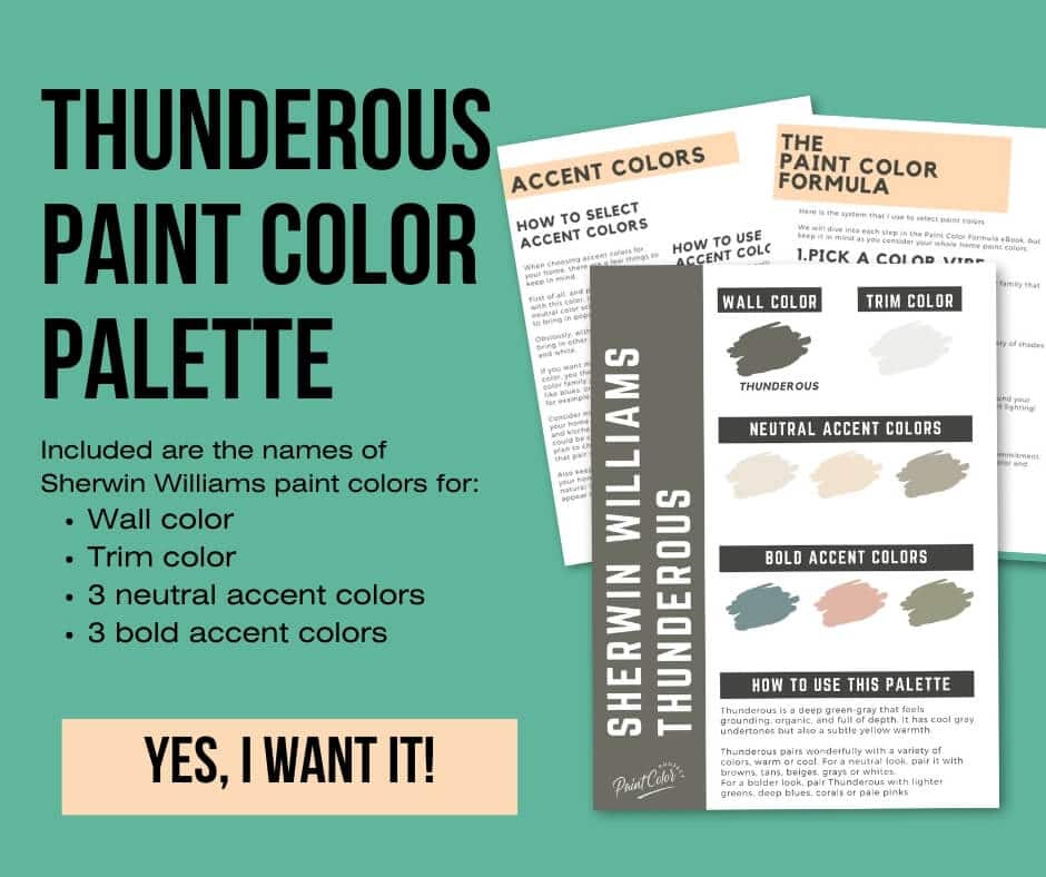 Sherwin Williams Thunderous Paint Palette