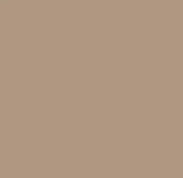 SW Mexican Sand
