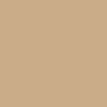 Behr Perfect Tan