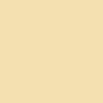 SW Friendly Yellow