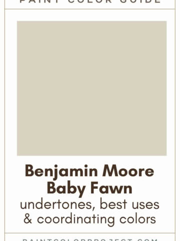 Benjamin Moore Baby Fawn Paint Color Guide