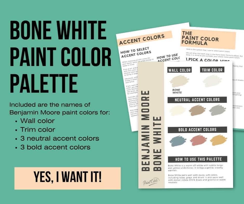Benjamin Moore Bone White Paint Palette
