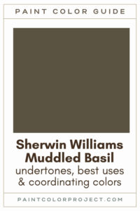 Sherwin Williams Muddled Basil Paint Color Guide