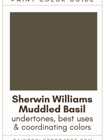 Sherwin Williams Muddled Basil Paint Color Guide