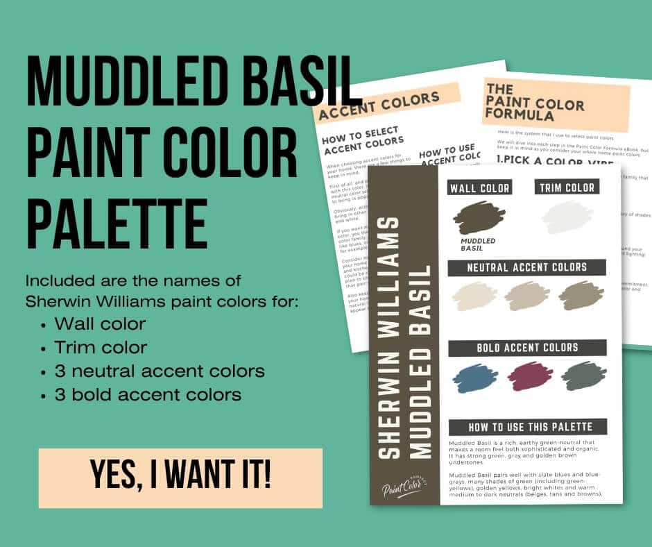 Sherwin Williams Muddled Basil Paint Palette
