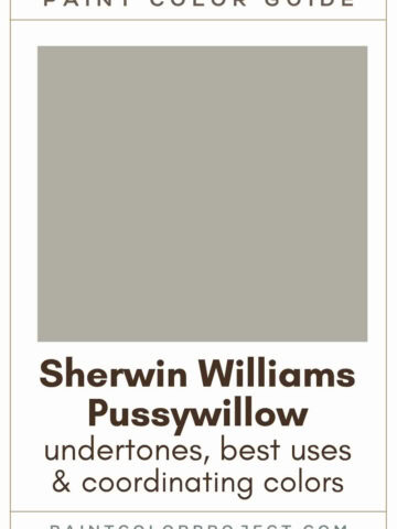 Sherwin Williams Pussywillow Paint Color Guide