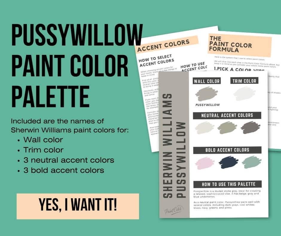 Sherwin Williams Pussywillow Paint Palette